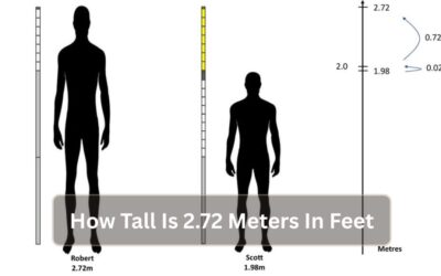 How Tall Is 2.72 Meters In Feet