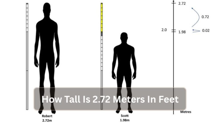 How Tall Is 2.72 Meters In Feet