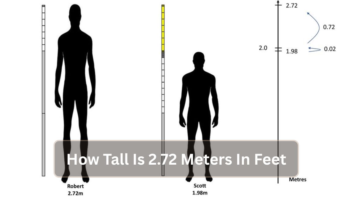 How Tall Is 2.72 Meters In Feet