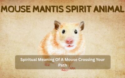 Spiritual Meaning Of A Mouse Crossing Your Path