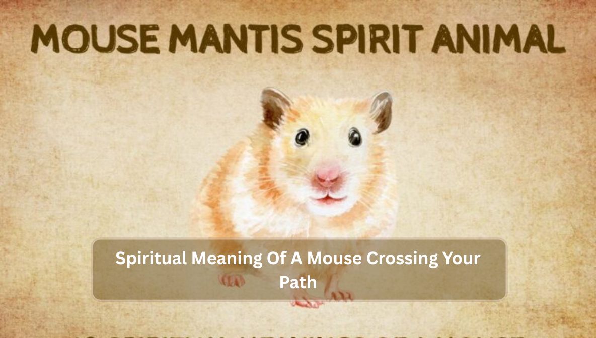 Spiritual Meaning Of A Mouse Crossing Your Path