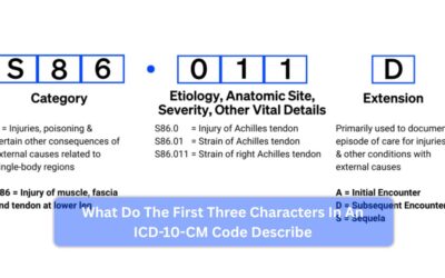 What Do The First Three Characters In An ICD-10-CM Code Describe