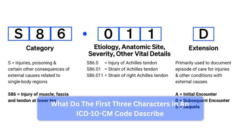 What Do The First Three Characters In An ICD-10-CM Code Describe